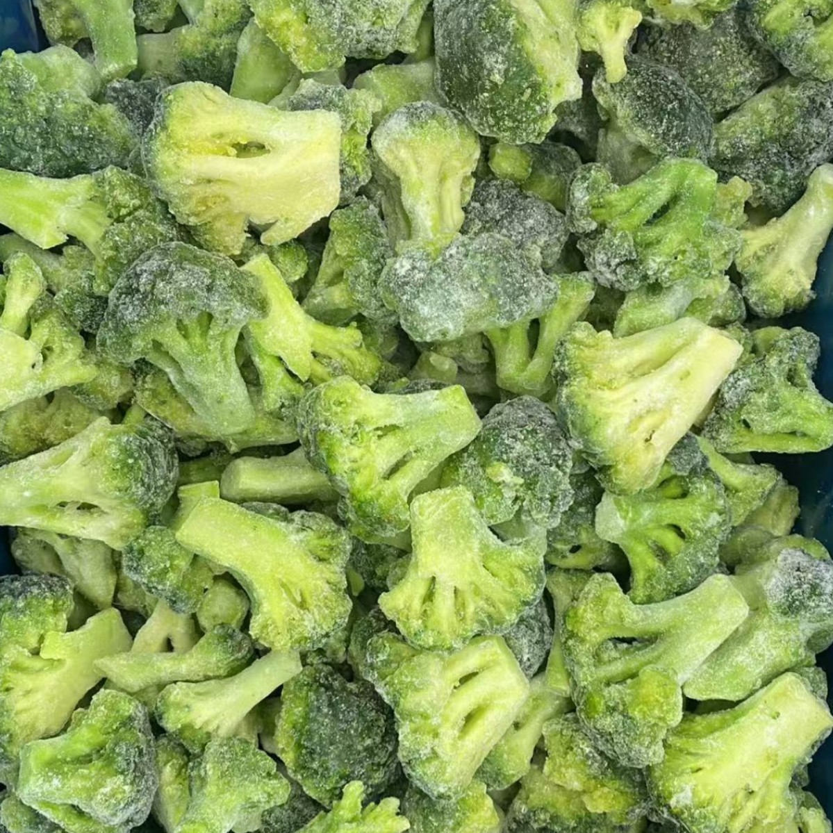 冷冻西兰花 速冻西兰花 冷冻绿花菜 餐饮商用冷冻蔬菜绿花菜图3