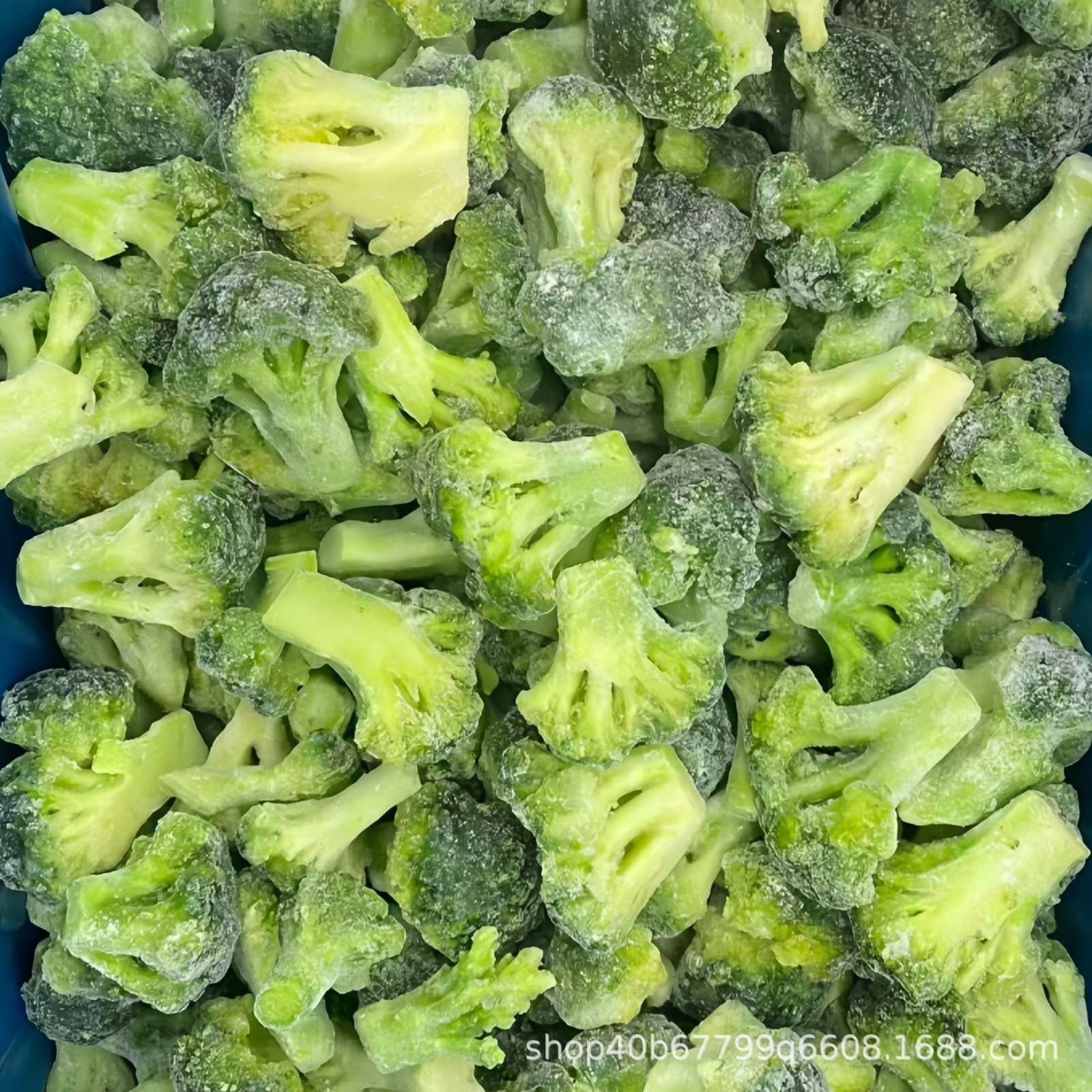 冷冻西兰花 速冻西兰花 冷冻绿花菜 餐饮商用冷冻蔬菜绿花菜图4