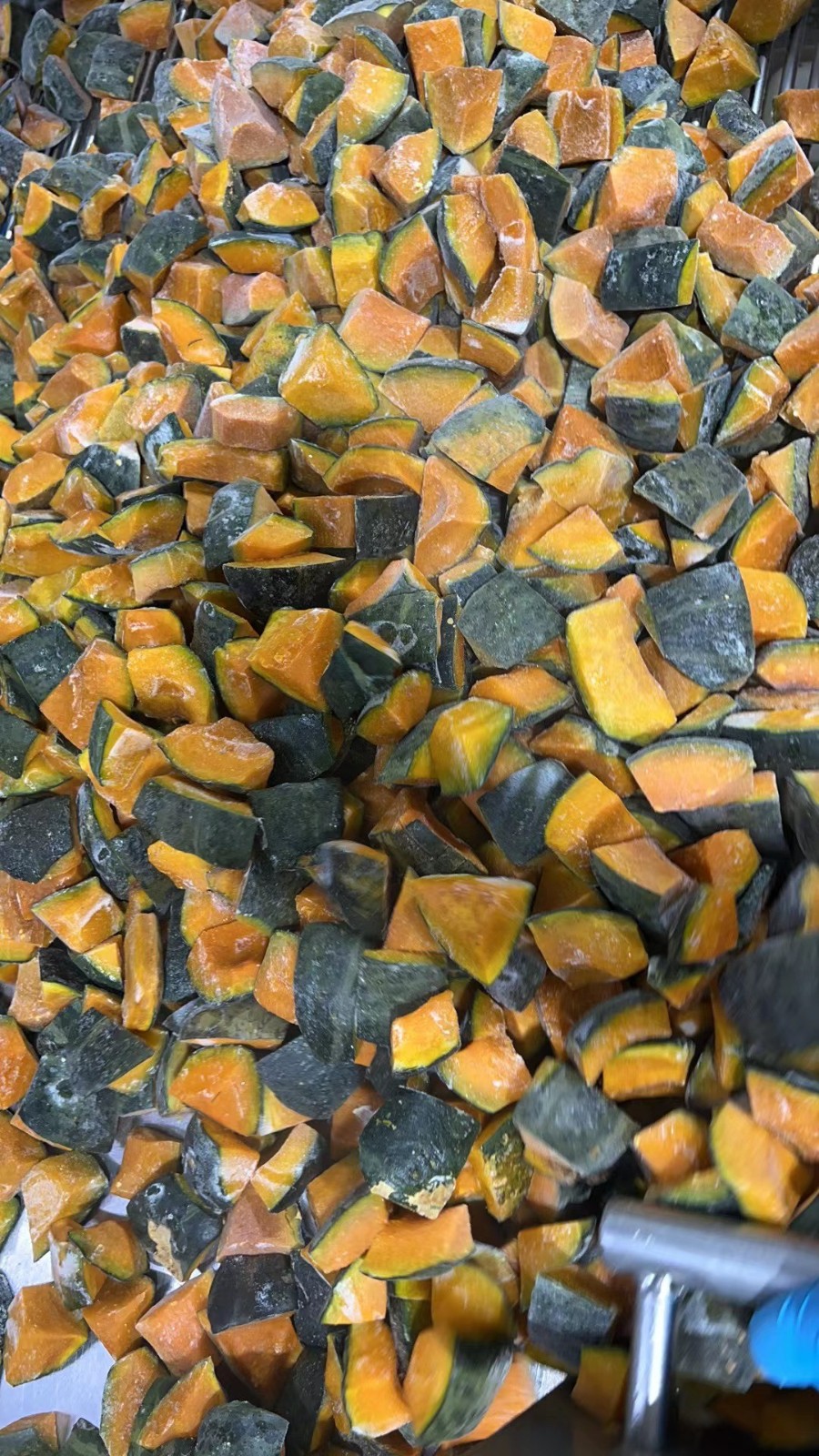 带皮南瓜块 蒸熟艾比斯南瓜 冷冻南瓜麻将块 速冻南瓜艾比斯南瓜图3