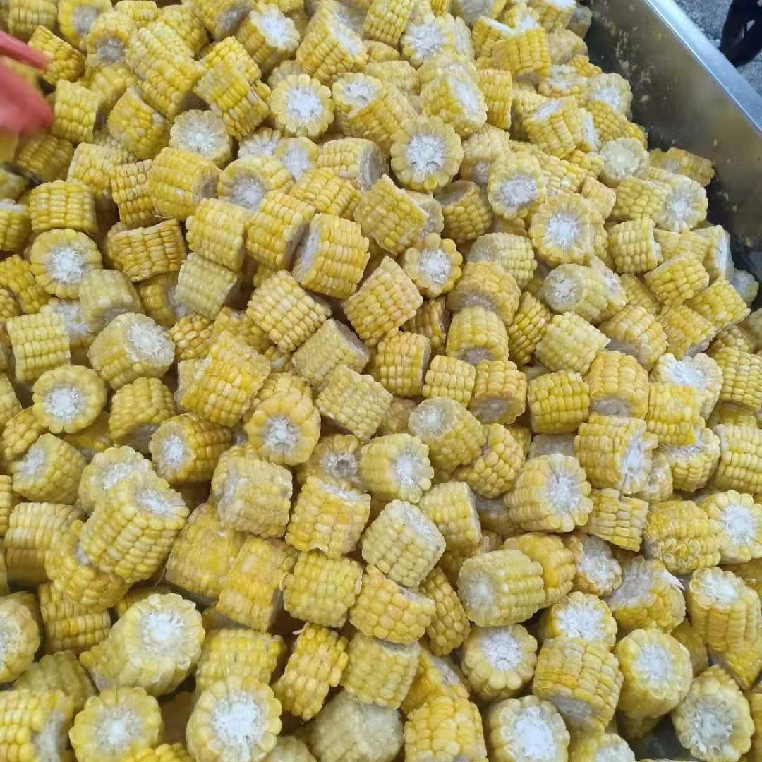 冷冻玉米粒 速冻玉米粒 脆王 903玉米图4