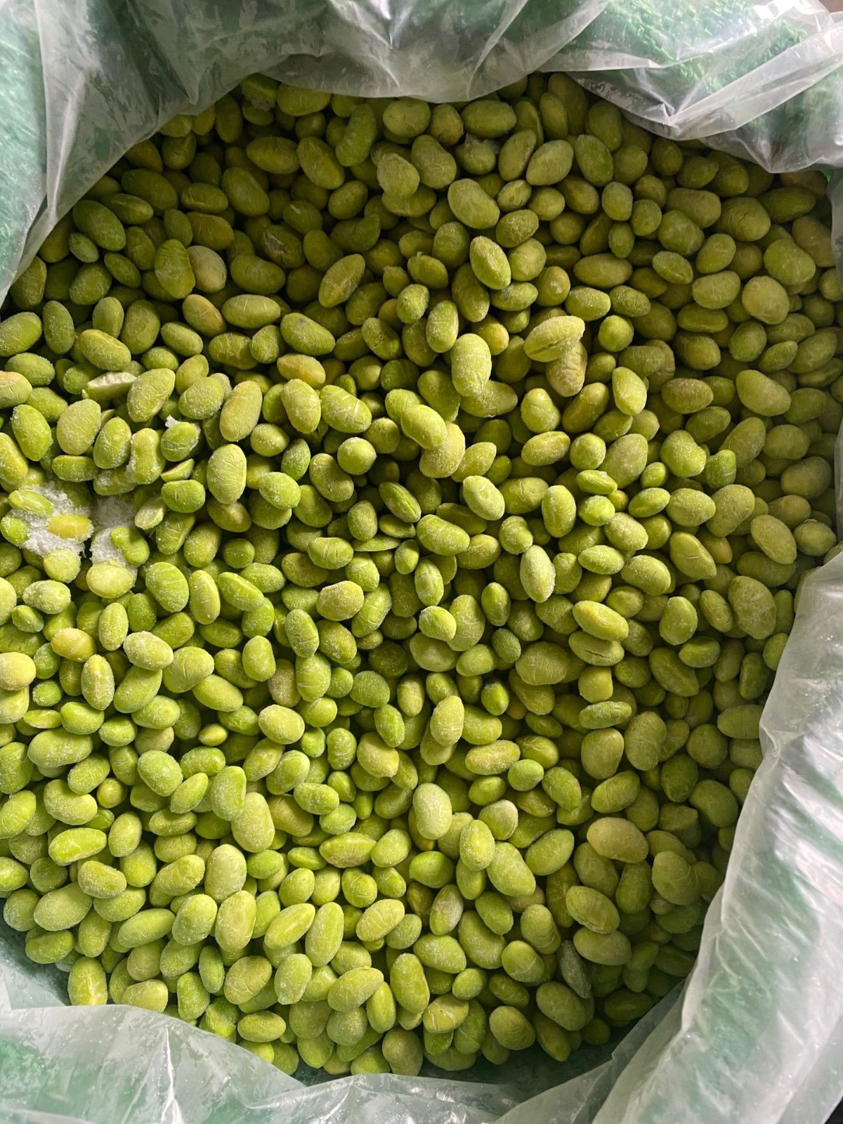 冷冻毛豆仁 速冻毛豆仁 75毛豆 翠绿宝图4