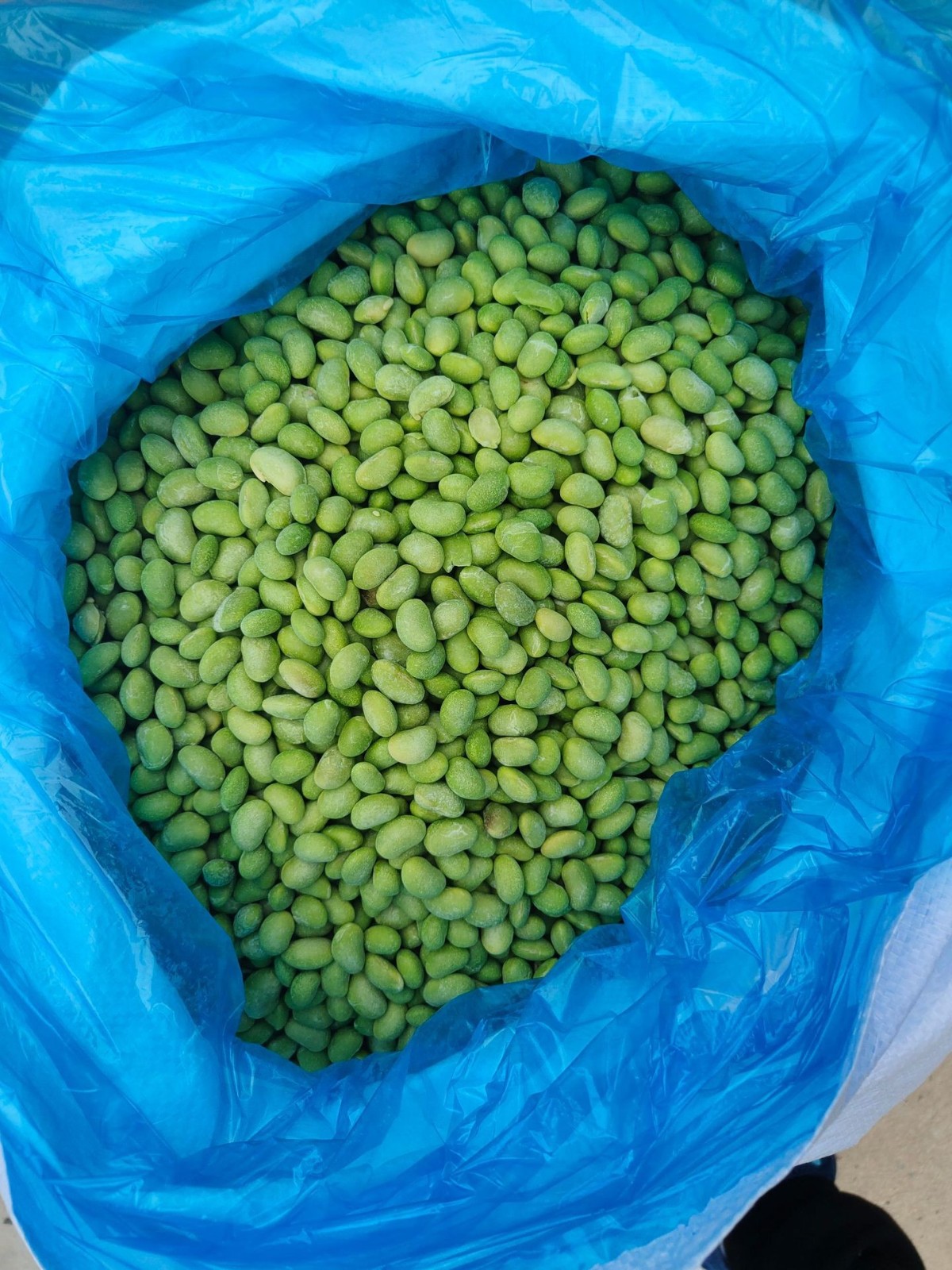 冷冻毛豆仁 速冻毛豆仁 75毛豆 翠绿宝图2