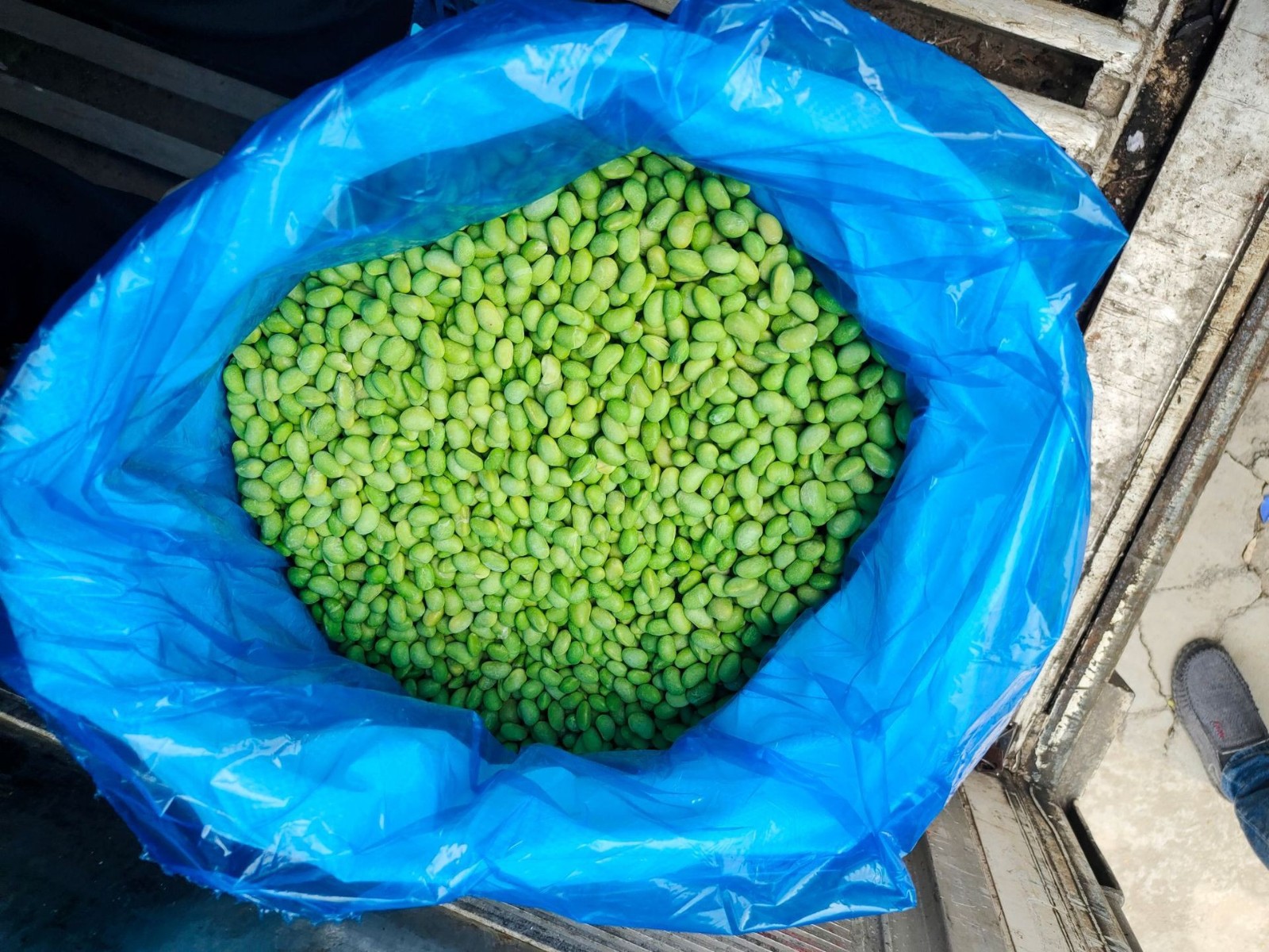 冷冻毛豆仁 速冻毛豆仁 75毛豆 翠绿宝图3