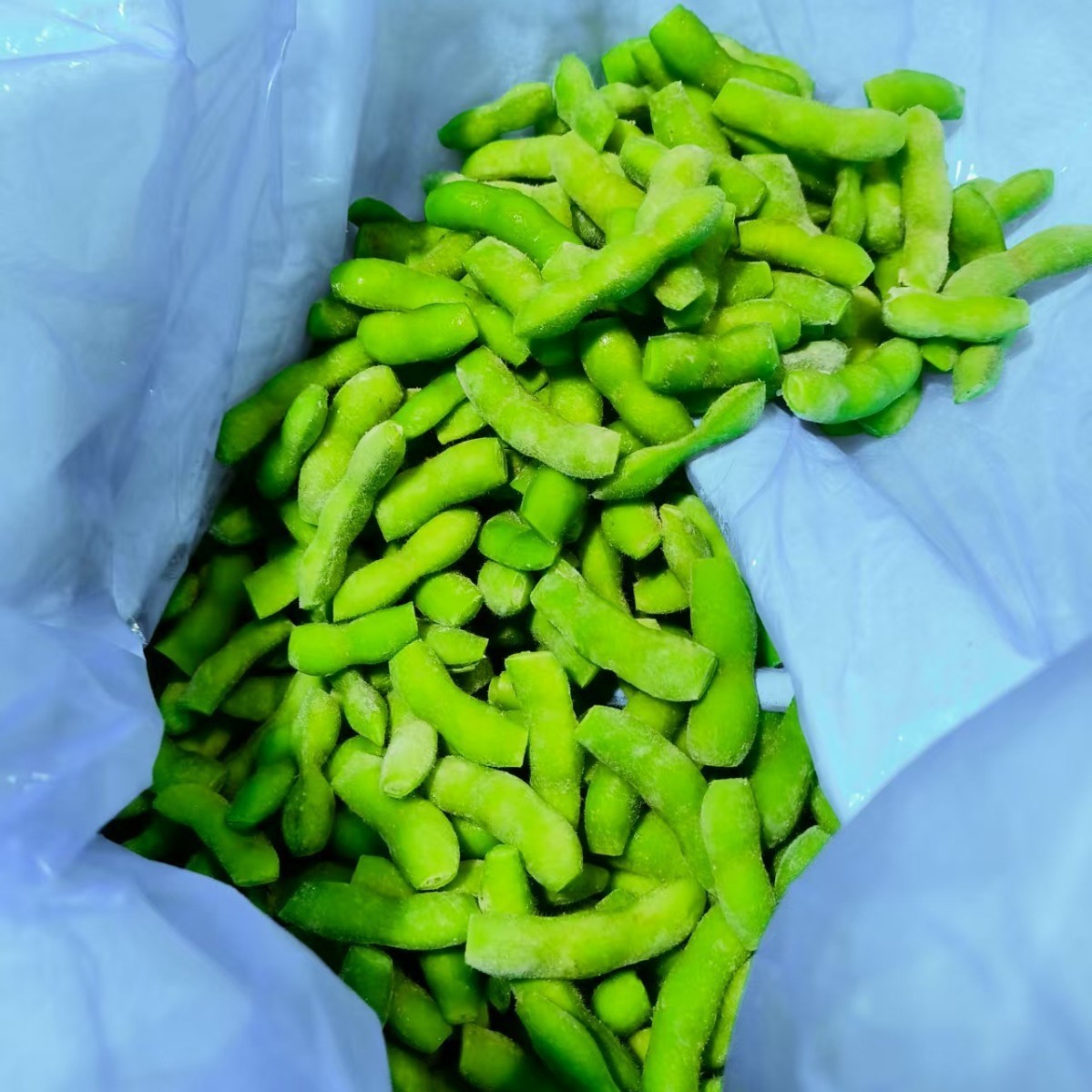 速冻毛豆荚装剪尾翠绿宝毛豆菜豆速冻什锦速冻毛豆图3