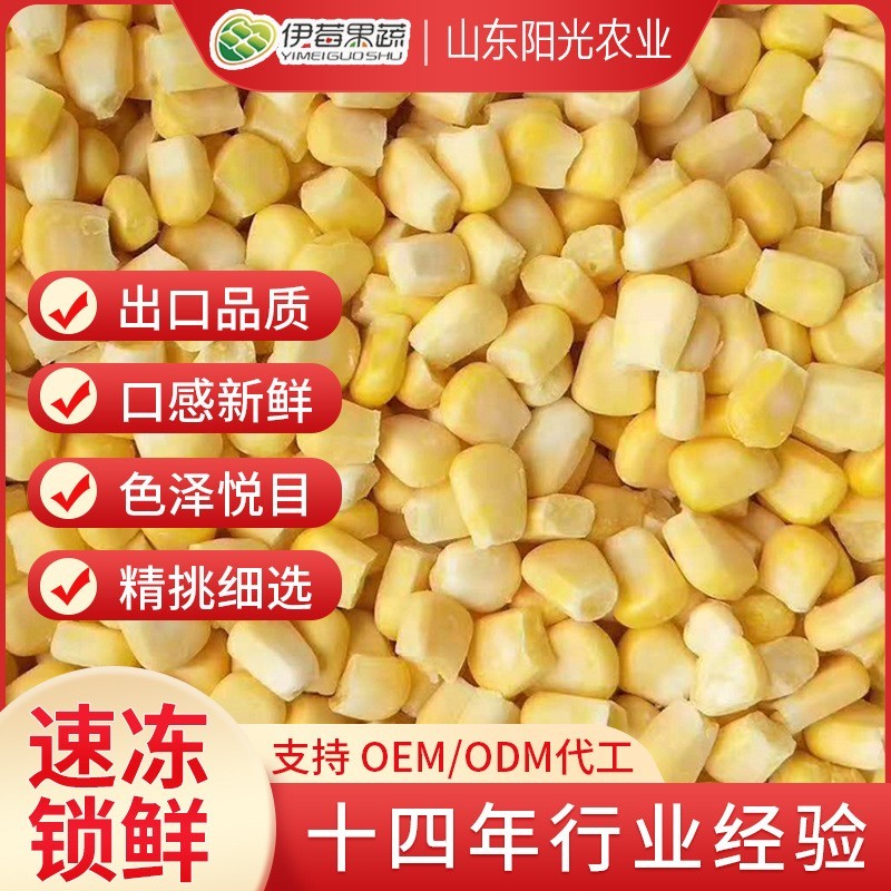 速冻玉米粒散装速冻水果玉米粒出口品质冰冻FD玉米粒