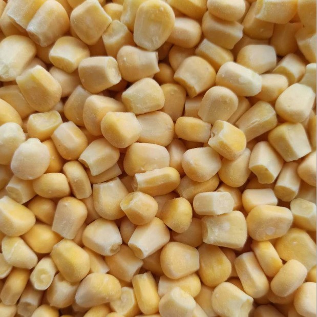 速冻玉米粒散装速冻水果玉米粒出口品质冰冻FD玉米粒图3