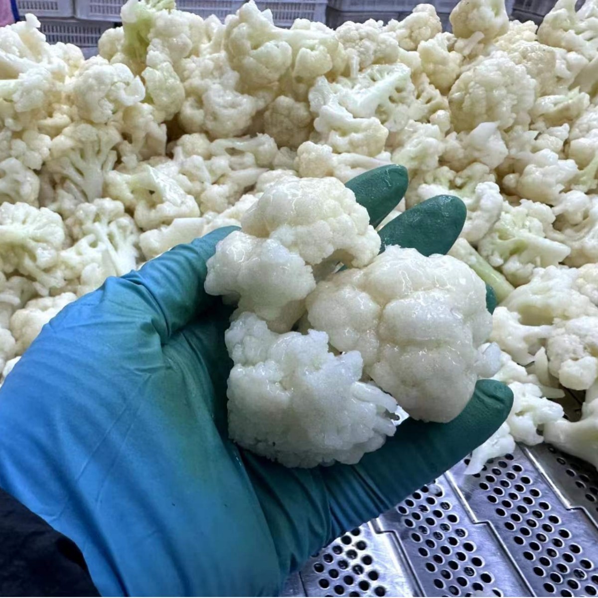 冷冻新鲜白花菜1kg/袋餐饮酒店商用半成品净菜厂家