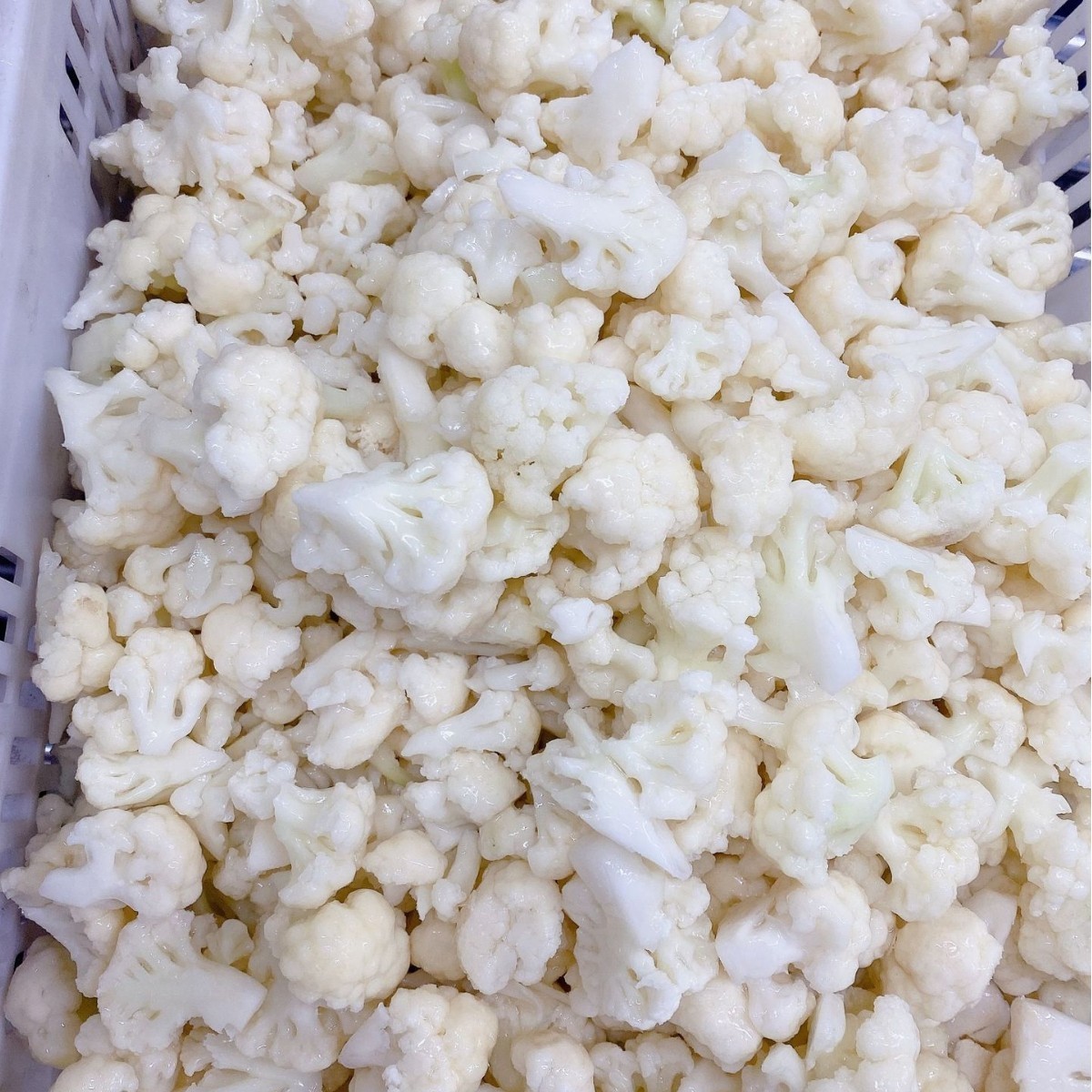 冷冻新鲜白花菜1kg/袋餐饮酒店商用半成品净菜厂家图2