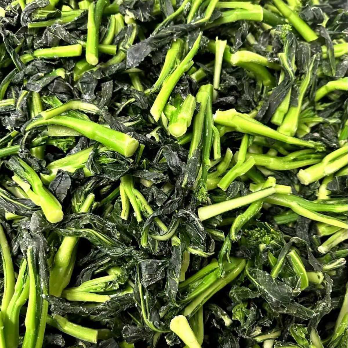 冷冻新鲜菜心速冻油菜心免切洗半成品净菜餐饮酒店商用图4