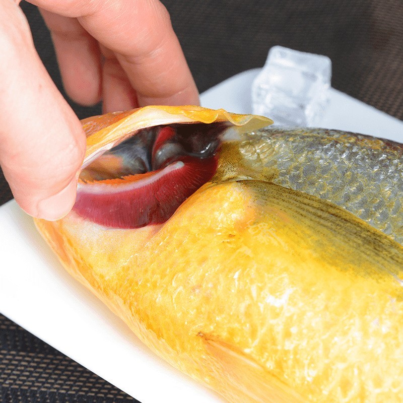 新品黄花鱼黄鱼大黄花鱼速冻活鱼新鲜冷冻水产鲜活冰鲜东海鱼特产图2