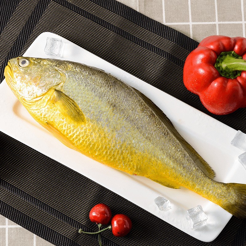 新品黄花鱼黄鱼大黄花鱼速冻活鱼新鲜冷冻水产鲜活冰鲜东海鱼特产图3