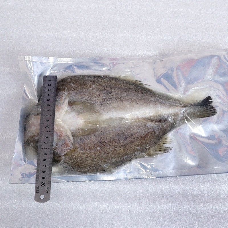 海鲈鱼整条新鲜三去开背珠海白蕉鲈鱼鲜活冷冻海捕鱼类海鲜烧烤鱼图3