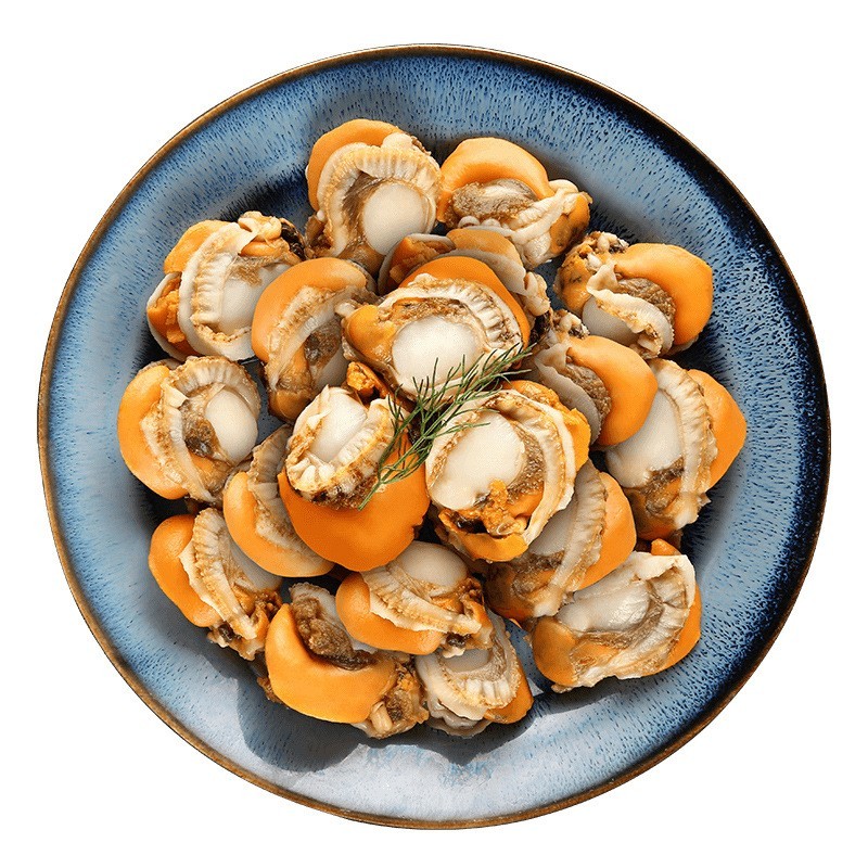 扇贝肉鲜活现剥大扇贝肉 港口海鲜 鲜货速冻带黄扇贝肉新鲜冷冻图5