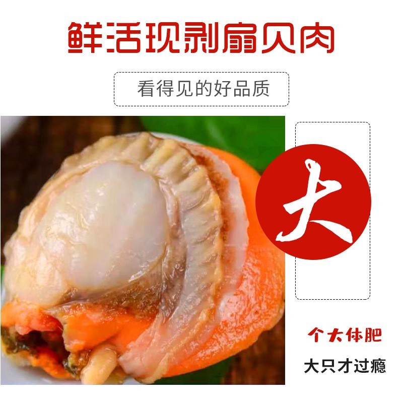 扇贝肉真空包装冷冻新鲜即食大号扇贝肉带黄无沙鲜活袋装图2