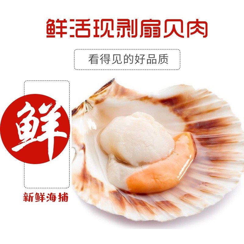 扇贝肉真空包装冷冻新鲜即食大号扇贝肉带黄无沙鲜活袋装图3