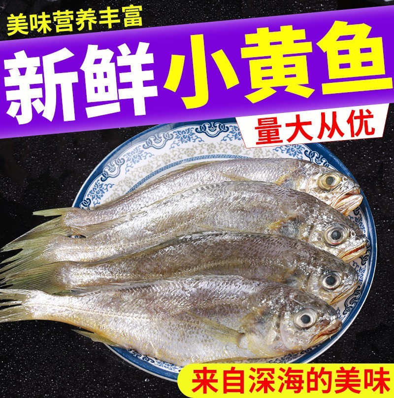 东海野生黄花鱼350g海捕冷冻新鲜小黄鱼鲜活速冻冰鲜黄鱼海鲜水产