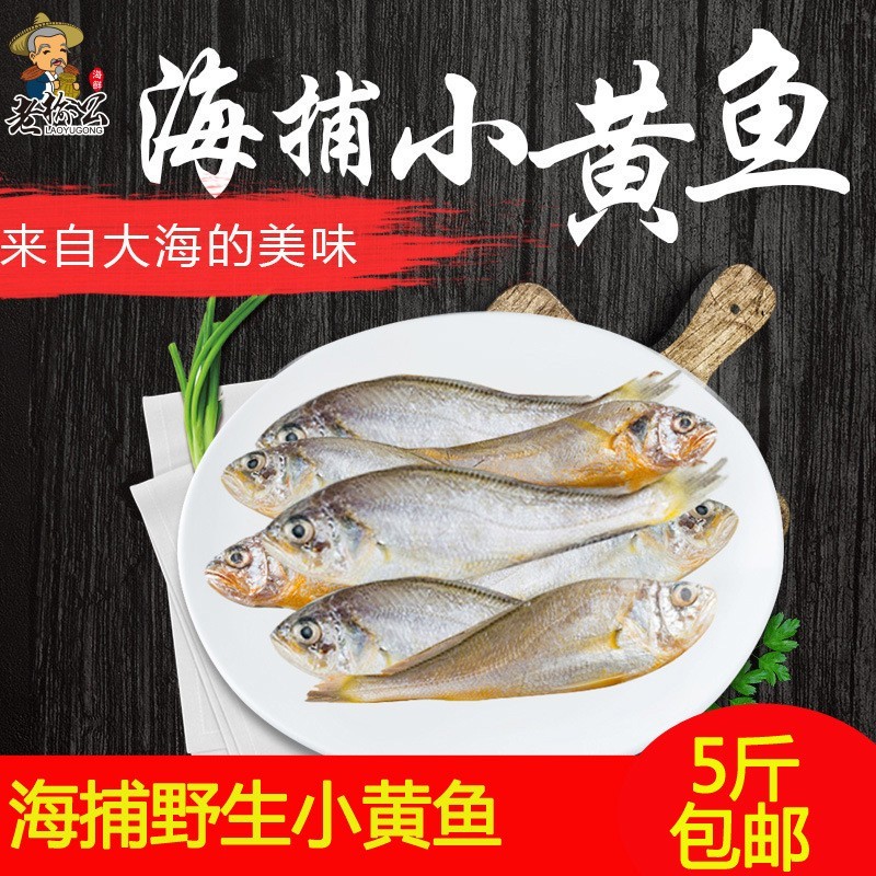 东海野生黄花鱼350g海捕冷冻新鲜小黄鱼鲜活速冻冰鲜黄鱼海鲜水产图2