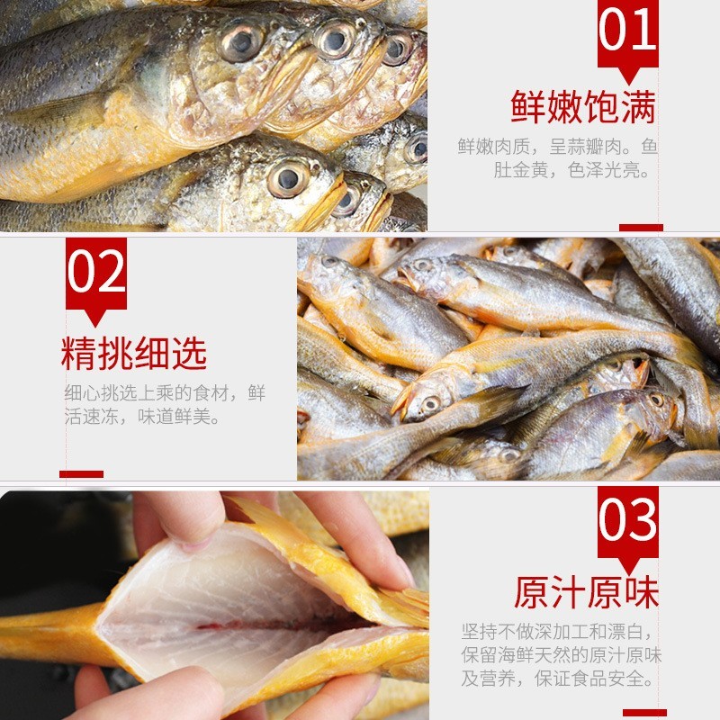 东海野生黄花鱼350g海捕冷冻新鲜小黄鱼鲜活速冻冰鲜黄鱼海鲜水产图4