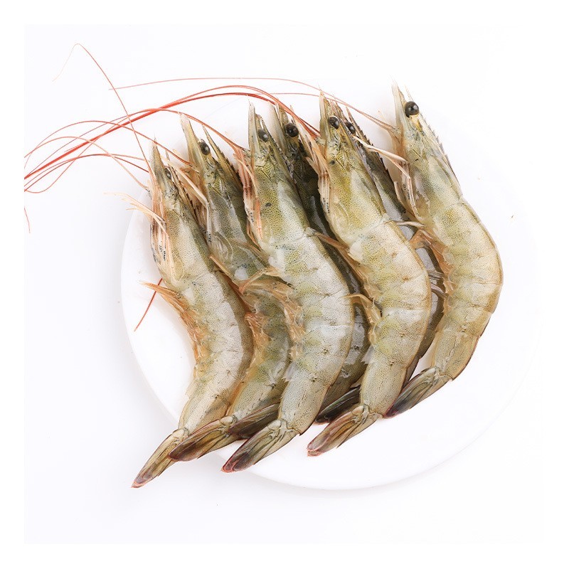 鲜活大虾无冰厄瓜多尔白虾生鲜冻品南美白对虾青虾基围虾海鲜水产图4