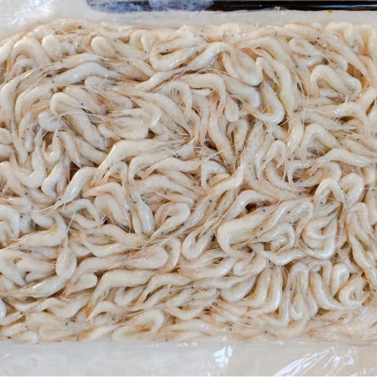 脊尾白虾小海虾对虾新鲜小海虾速冻鲜活海鲜水产白虾冷冻海虾500g图4