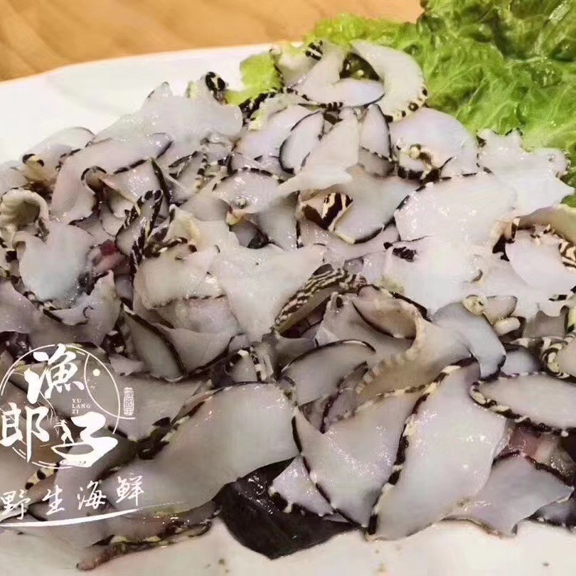 福建东山岛 黄螺片 海螺肉 响螺片 海鲜冷冻水产 食用农产品