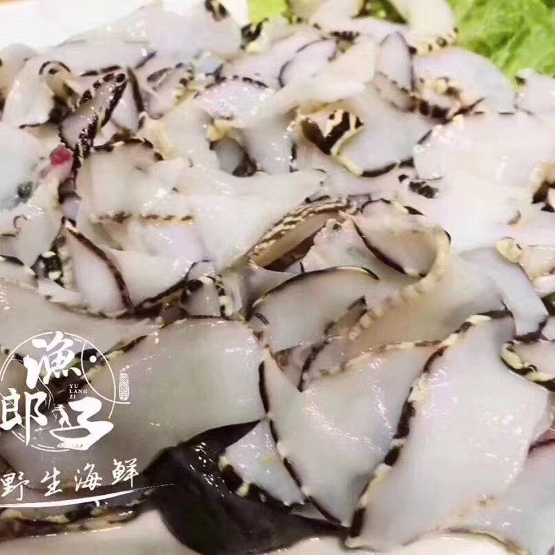 福建东山岛 黄螺片 海螺肉 响螺片 海鲜冷冻水产 食用农产品图2