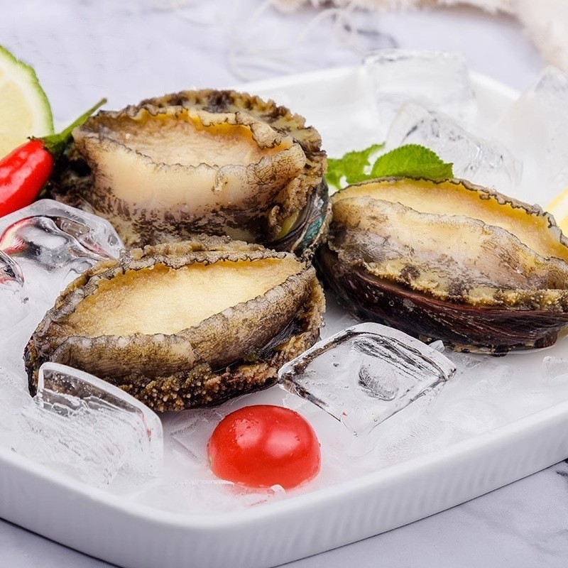 东山漂烫鲍鱼 大鲍鱼 冷冻鲍鱼 整箱商用 婚宴酒席专用宴会必备图3
