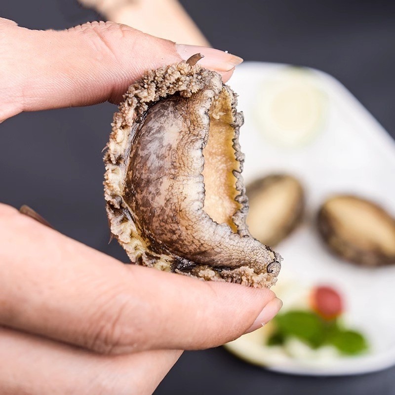 东山漂烫鲍鱼 大鲍鱼 冷冻鲍鱼 整箱商用 婚宴酒席专用宴会必备图2