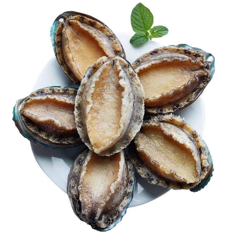 东山漂烫鲍鱼 大鲍鱼 冷冻鲍鱼 整箱商用 婚宴酒席专用宴会必备图5