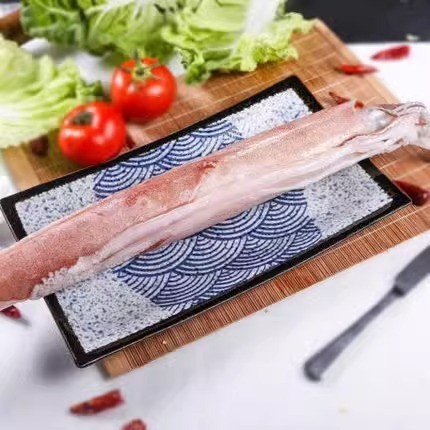 东山手钓大管 大枪鱿鱼 手钓火箭鱿鱼 刺身级手钓鱿鱼 酒店宴席图4