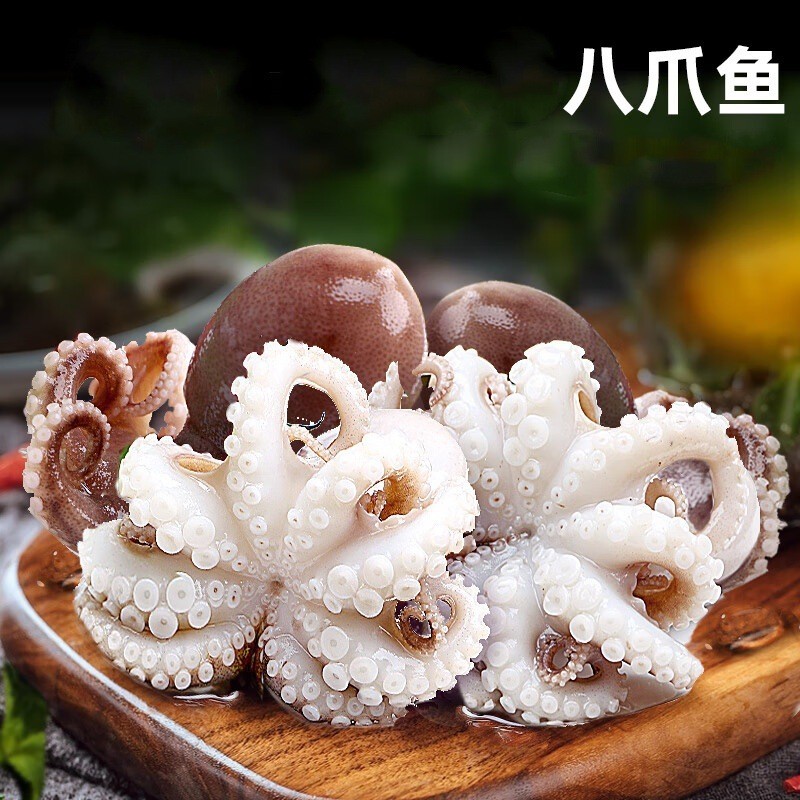 鲜活冷冻八爪鱼 翻花小八爪鱼 爆头小章鱼 酒店烧烤火锅食材