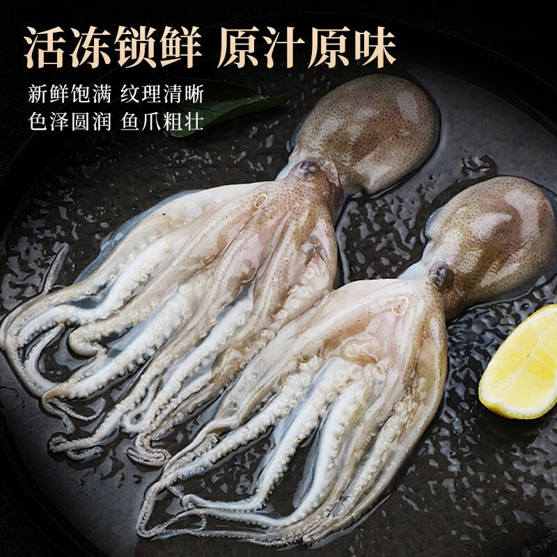 鲜活冷冻八爪鱼 翻花小八爪鱼 爆头小章鱼 酒店烧烤火锅食材图2