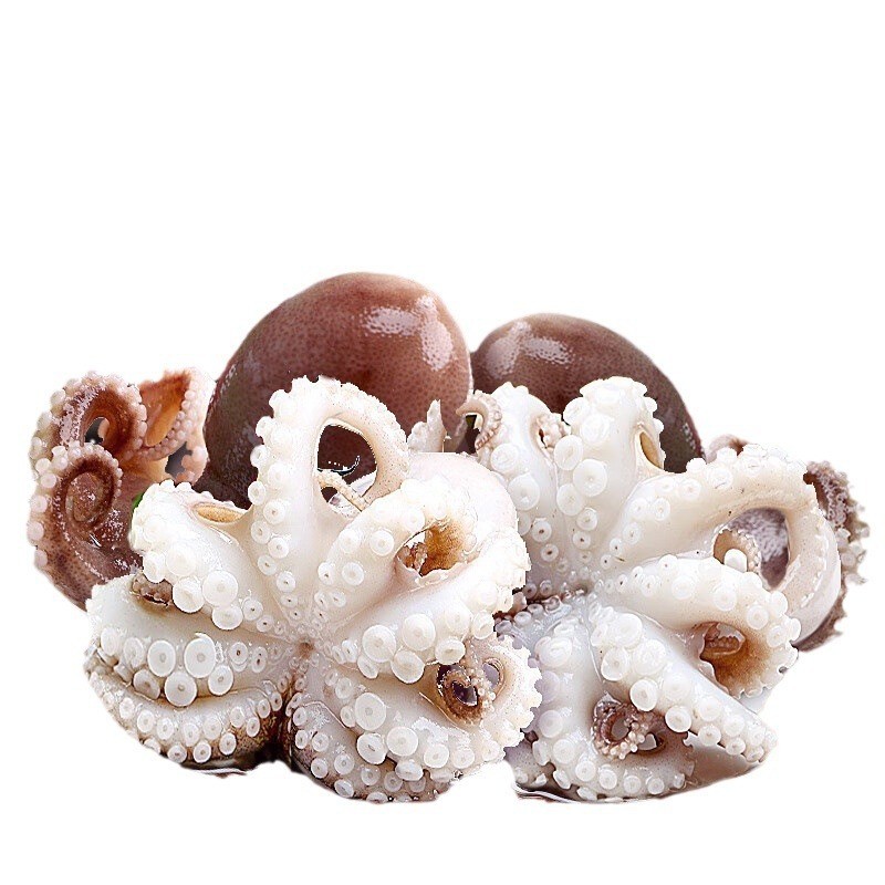 鲜活冷冻八爪鱼 翻花小八爪鱼 爆头小章鱼 酒店烧烤火锅食材图5