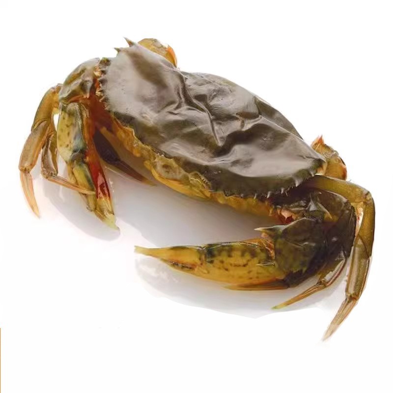软壳蟹免剥壳螃蟹7只装蒸煮炸炒商用食材冻蟹鲜蟹青蟹图5