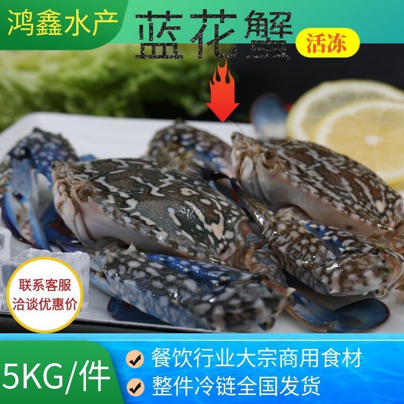 冻品螃蟹生鲜冻蓝花蟹兰花蟹全规格冻蟹水产海鲜冷冻商用野生