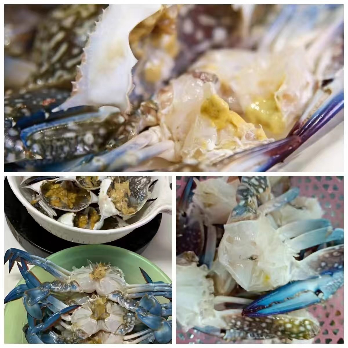 冻品螃蟹生鲜冻蓝花蟹兰花蟹全规格冻蟹水产海鲜冷冻商用野生图3