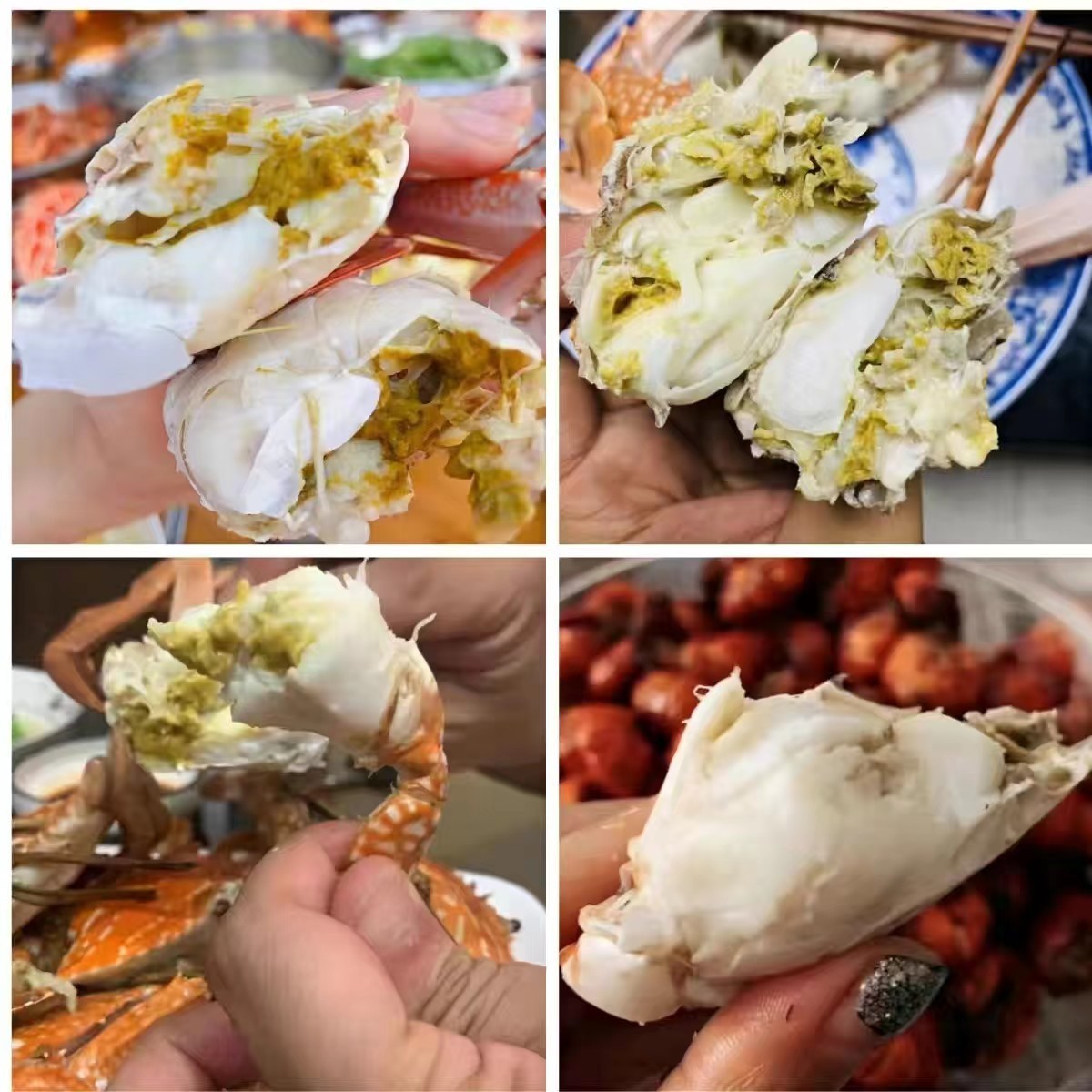 冻品螃蟹生鲜冻蓝花蟹兰花蟹全规格冻蟹水产海鲜冷冻商用野生图4