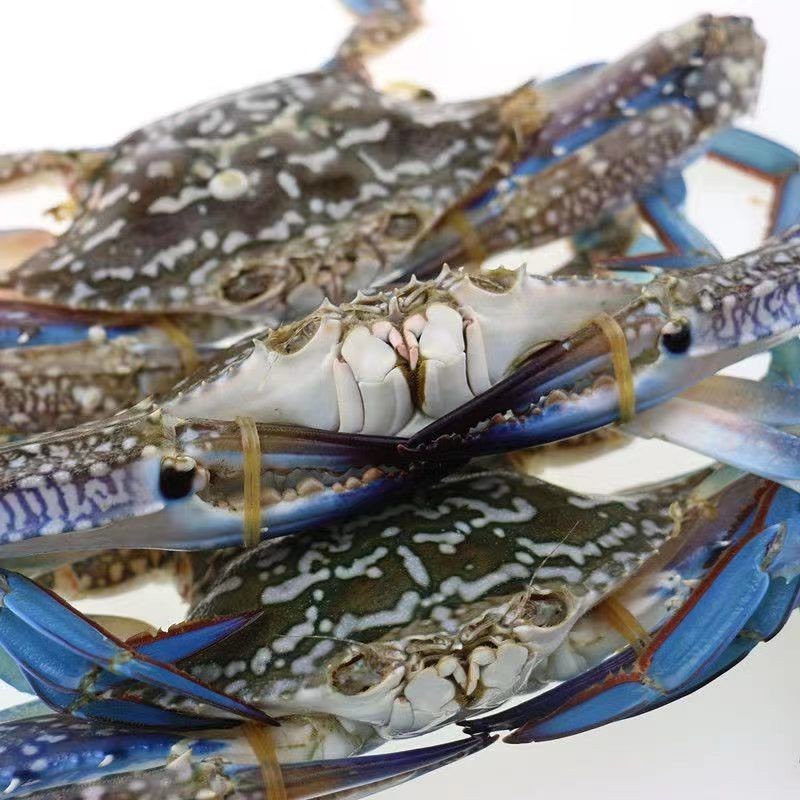 冻品螃蟹生鲜冻蓝花蟹兰花蟹全规格冻蟹水产海鲜冷冻商用野生图5
