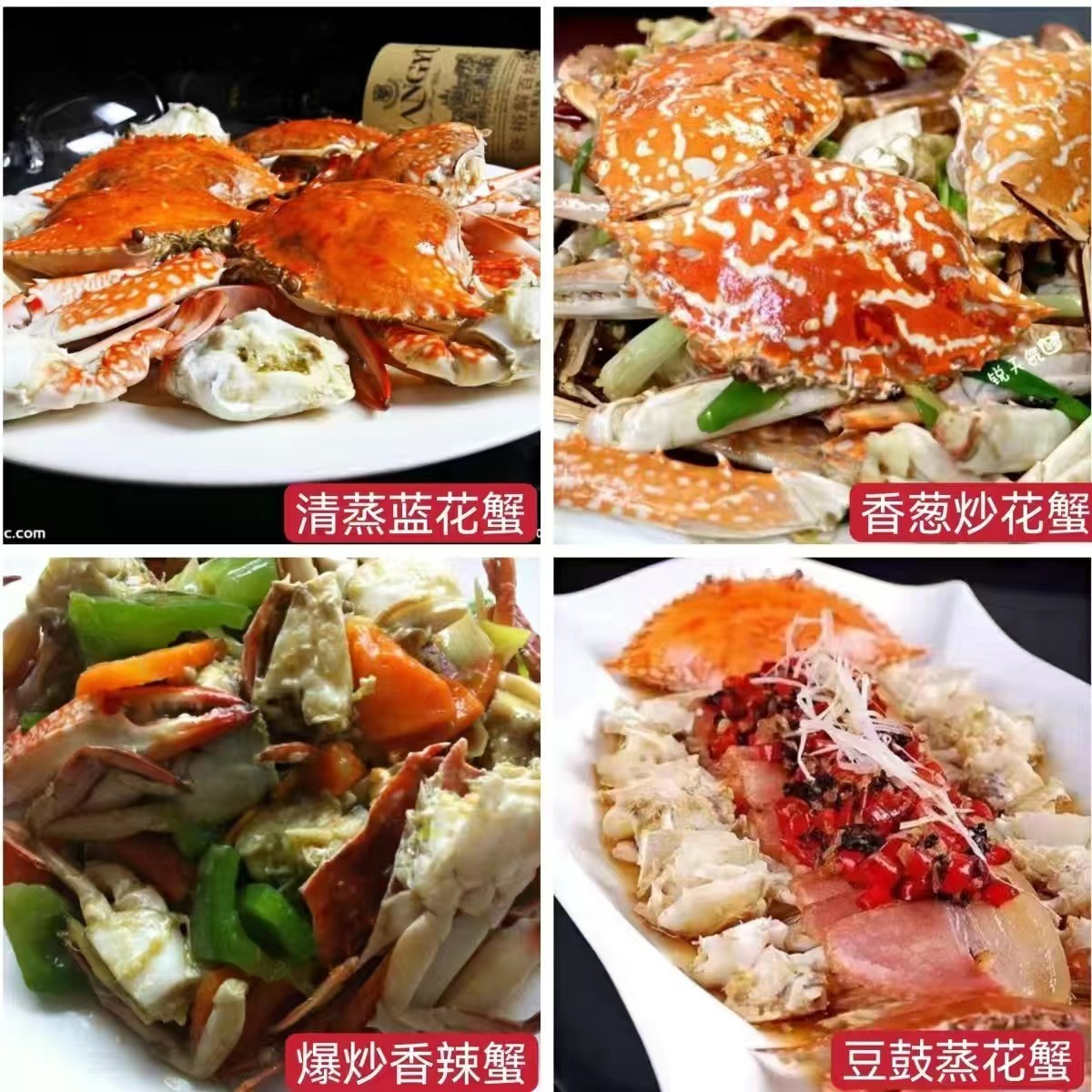 冻品螃蟹生鲜冻蓝花蟹兰花蟹全规格冻蟹水产海鲜冷冻商用野生图2