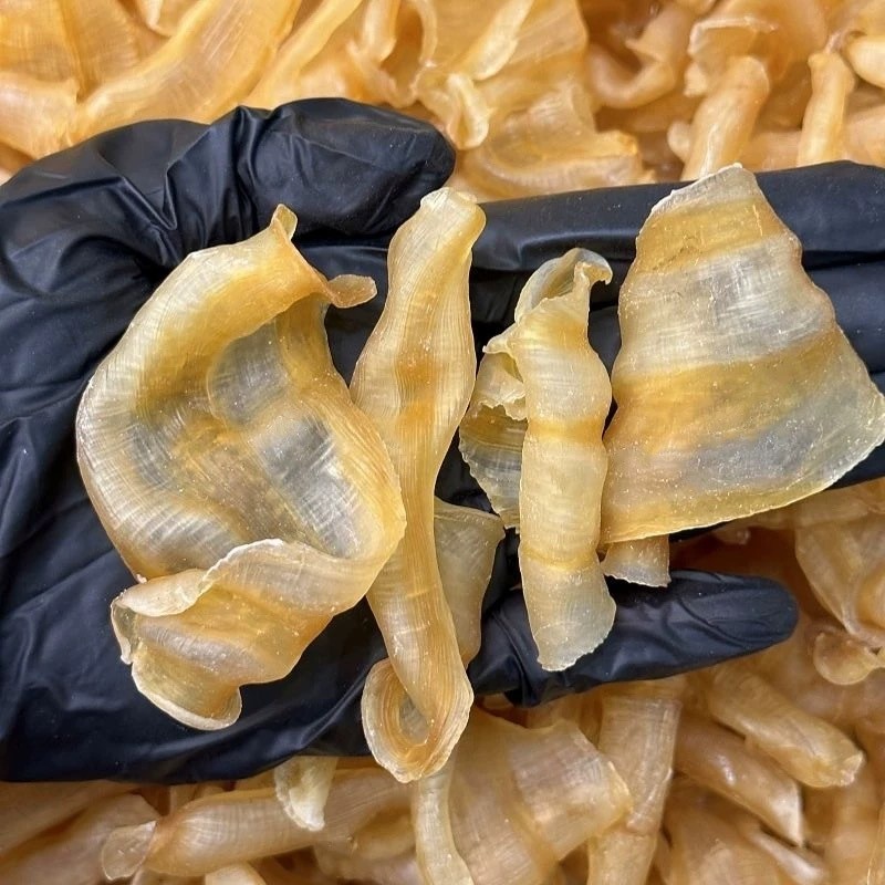 凤尾胶红鱼肚鱼胶花胶干货牛奶花胶原料佛跳墙花胶酒店用花胶图2