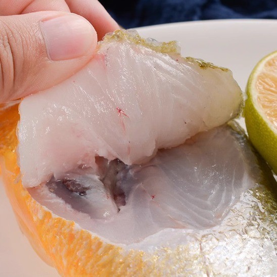 海鲜养殖工厂新鲜大黄鱼黄花鱼冰鲜水产现捕商用黄鱼鲞黄瓜鱼图4