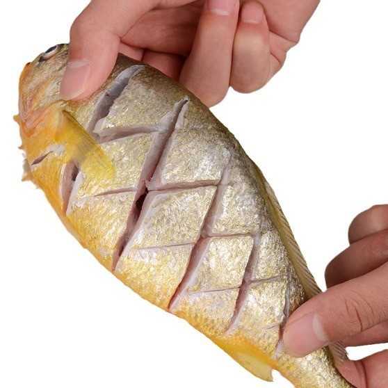 海鲜养殖工厂新鲜大黄鱼黄花鱼冰鲜水产现捕商用黄鱼鲞黄瓜鱼图5