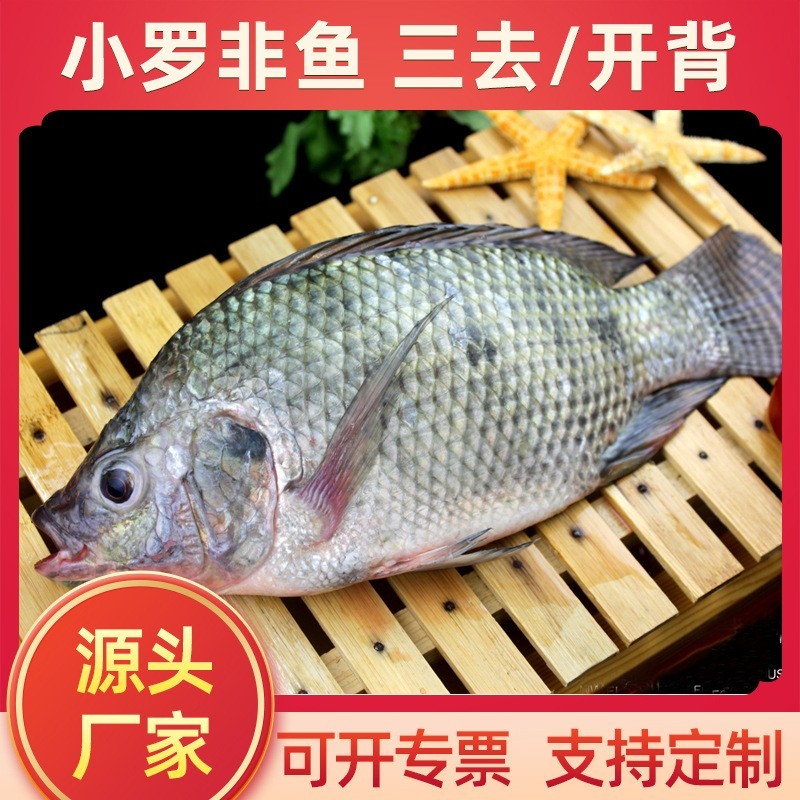 小罗非鱼100g-200g三去开背商用半成品单位食堂快餐连锁