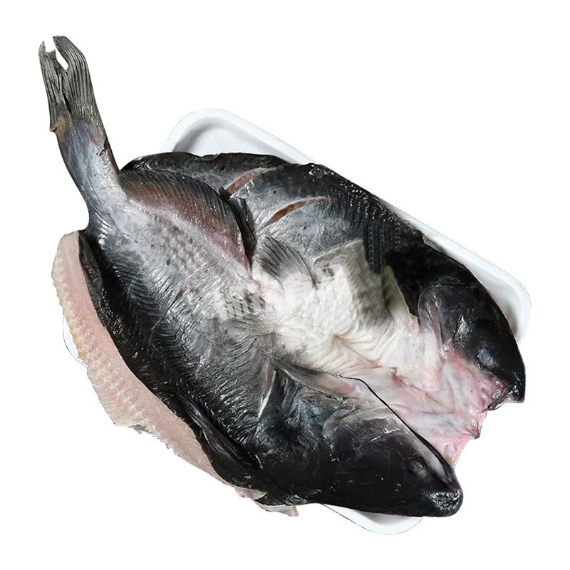 开背清江鱼贴牌定制代加工烤鱼专用冷冻海鲜半成品商用图5