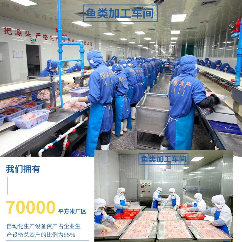 海鲡鱼鱼头商用海利鱼炖汤食材饭店冷冻水产海鲜冷链运输工厂图3