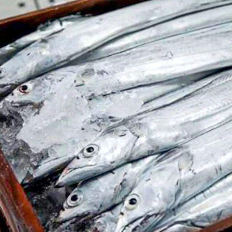 国产带鱼可定制去头去尾整条新鲜海捕整箱特大段刀鱼厂家图4