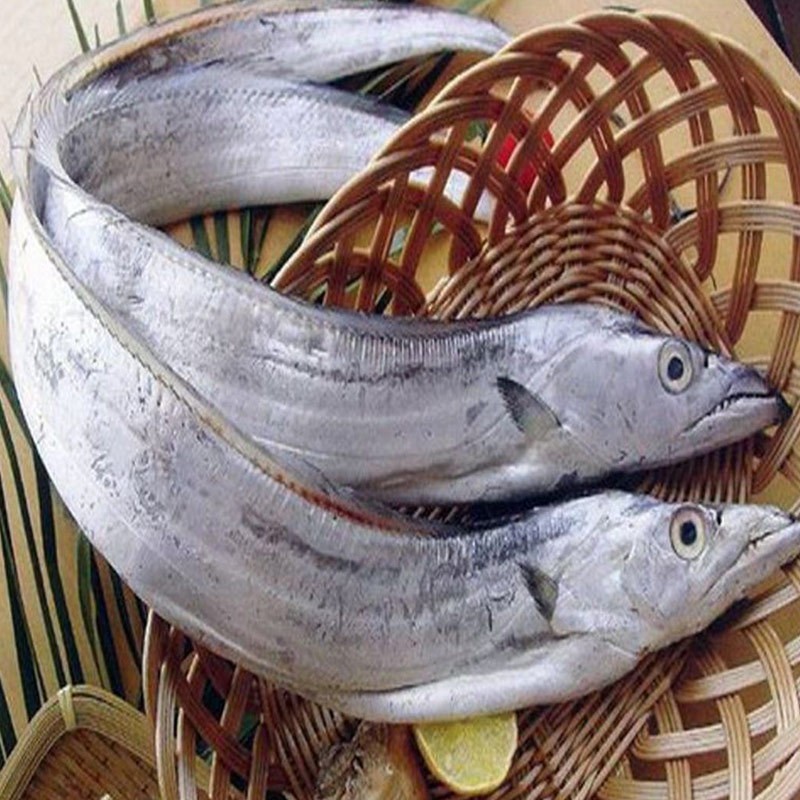 国产带鱼可定制去头去尾整条新鲜海捕整箱特大段刀鱼厂家图3