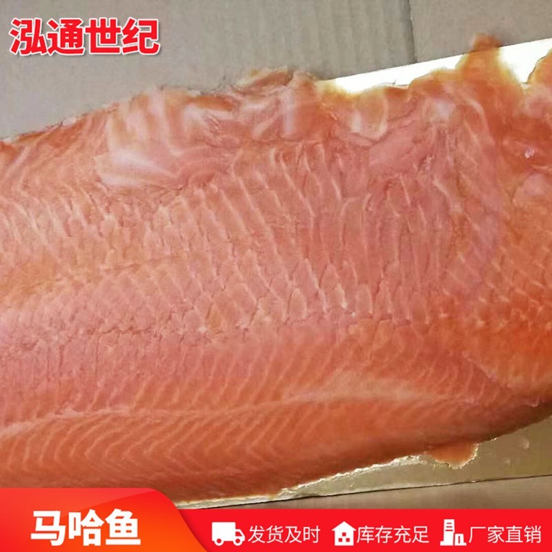 去头马哈鱼 青岛厂家马哈鱼鱼块 冻海鲜银磷大马哈鱼图2