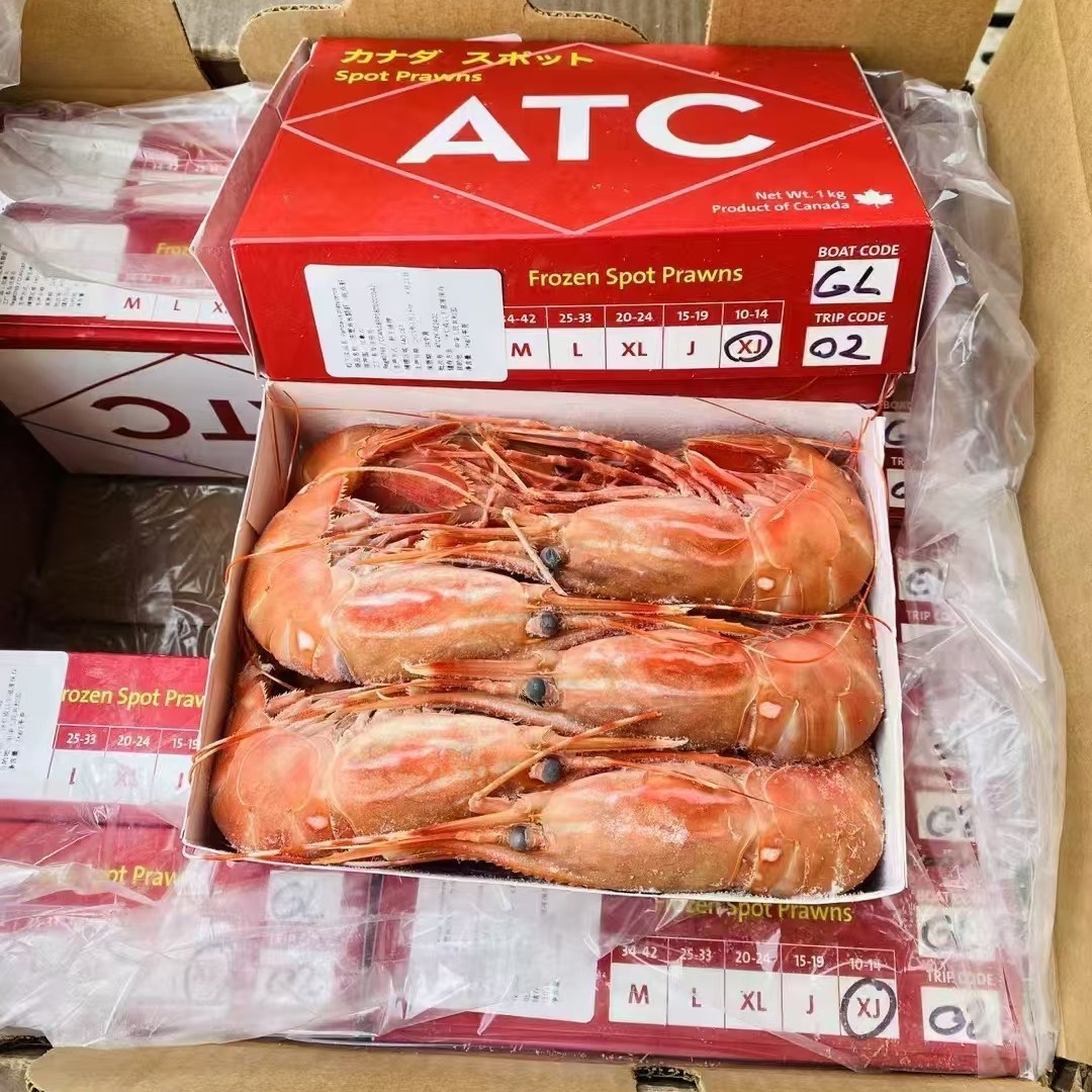 牡丹虾日本料理高级刺身五星级酒店自助餐私房菜高端食材深海鳌虾图4