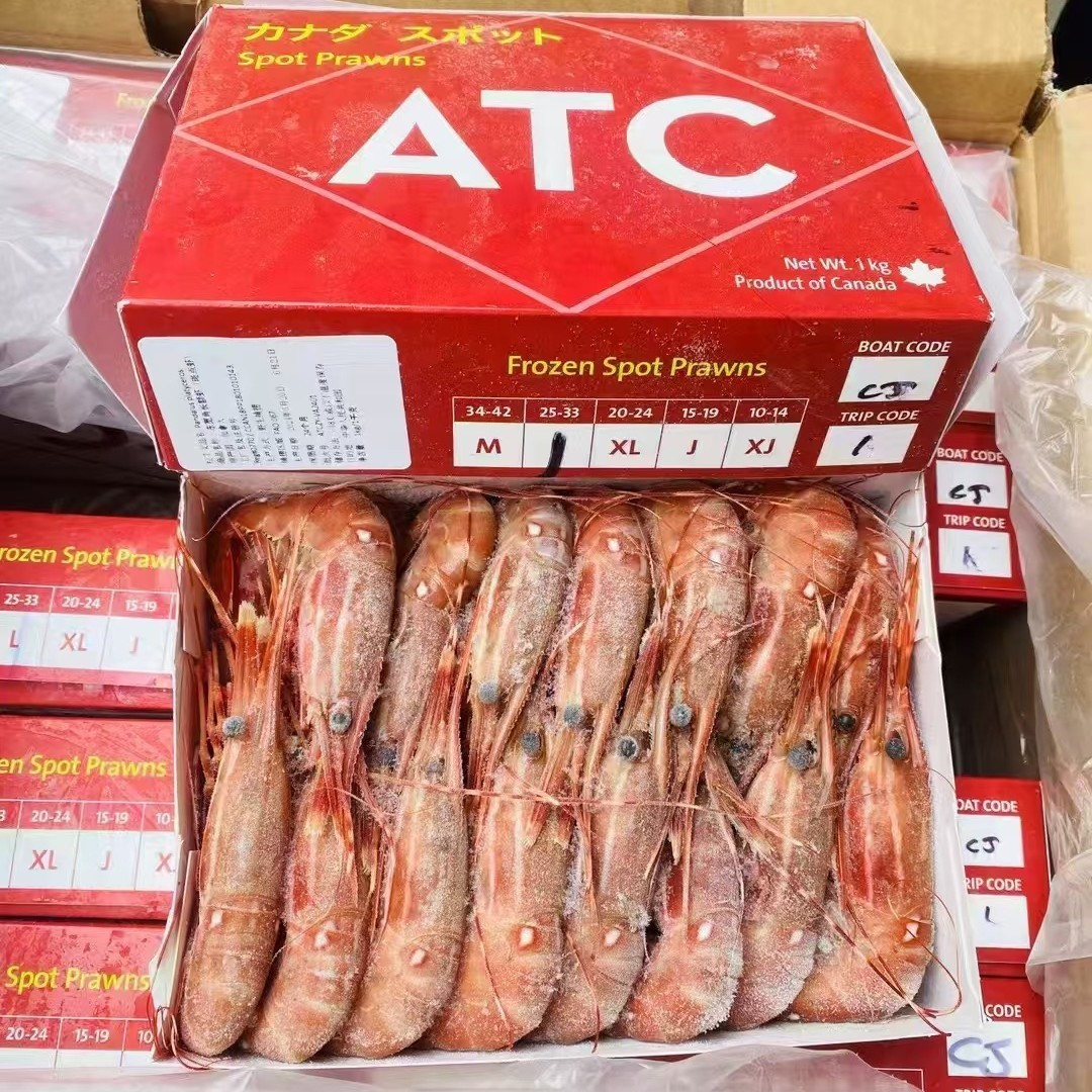 牡丹虾日本料理高级刺身五星级酒店自助餐私房菜高端食材深海鳌虾图3